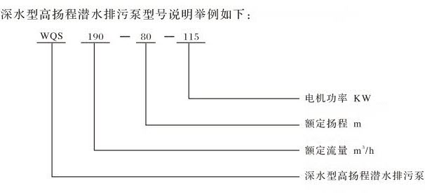 WQS型號(hào)說明.jpg